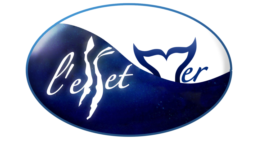 Logo L'effet mer